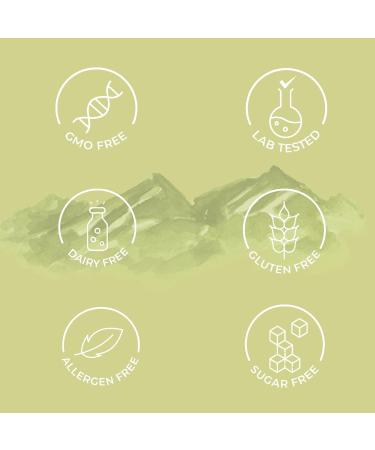 AYURVEDASHREE Shilajit Extract Capsules 1000mg with 40%+ Fulvic Acid 60 Veg Capsules for Men & Women - Buy Online on GoSupps.com