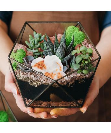 Artibetter 40 pcs Miniature Resin miniature popcorns charm pendant diy popcorn flatbacks beads lifelike popcorn decor Popcorn Decor Resin 2.5X2cmx3pcs Whitex3pcs - Buy Online on GoSupps.com