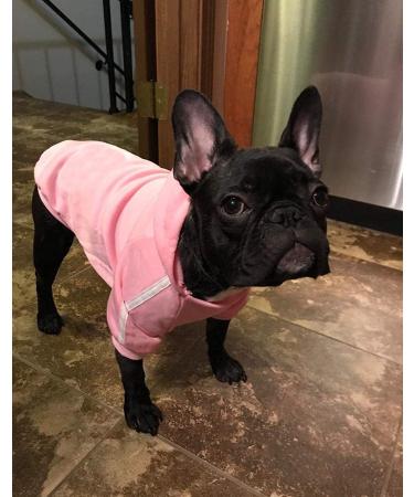Shop Ducomi 100% Cotton Hood Dogs Sweatshirt - Warm Monochrome Dog Sweater for All Breeds & Sizes (XS Pink) - International Shipping Available - Buy Online on GoSupps.com