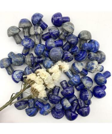 Natural Blue Lapis Lazuli Mushroom Shaped Polished QuartzStones Specimen Home Decoration s Can be Used for (Size : 2pcs) (Size : 2pcs) - Buy Online on GoSupps.com