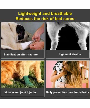 Dog Rear Leg Brace Prevent Licking Fixing Strap Spring Support Canine Rear Hock Support Pet Protective Gear for Leg Wounds Injuries Helps with Loss of Stability(S) - Buy Online on GoSupps.com