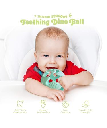Ashtonbee Dino Baby Teething Toys - Food-Grade Silicone Teethers for Babies - Textured Sensory Balls - Soft and Safe Teething Toy - Easy to Clean - Green - Buy Online on GoSupps.com