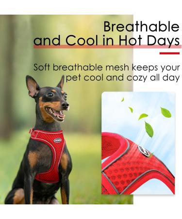 ThinkPet No-Pull Dog Harness | Breathable & Adjustable Running Harness for Small Medium & Large Dogs | Safe Control Padded Reflective Design - Red 1 Pack - Buy Online on GoSupps.com