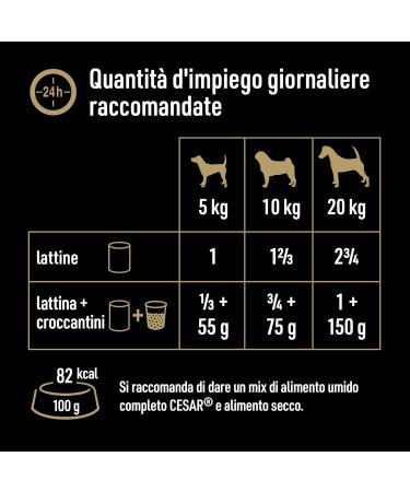 Cesar Natural Goodness Casserole Wet Food for Dogs with Chicken and Whole Grain Pasta Flavor in Sauce 6 Cans of 400 g Total 2.4 kg - Buy Online on GoSupps.com