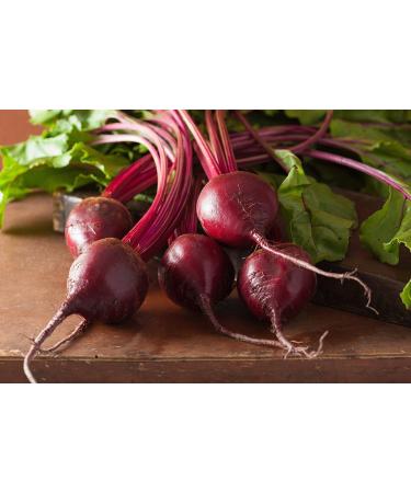 15.13g Organic Detroit Dark red Beet Tail