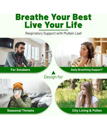 Mullein Drops for Lungs with Licorice & Astragalus Lung Detox for Smokers Tincture Respiratory & Immune Support Mullein Leaf Extract for Lung Cleanse 4 fl oz No Flavor 4 Fl Oz (Pack of 1) - Buy Online on GoSupps.com