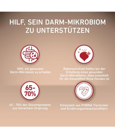 PURINA ONE Mini/Small Delicate Dry Food for Small Dogs Rich in Salmon and Rice 8 x 800 g Cans - Buy Online on GoSupps.com