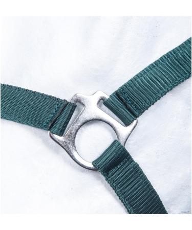 Buy RL24 - Dark Green Nylon Halter BASICLINE for Ponies | Durable & Stylish Equestrian Gear - Buy Online on GoSupps.com