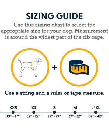 Luffwear Swamp Cool Dog Harness & Handle - Adjustable Light Running Gear for Pets Keeps Cool Graphite Gray (X-Small 43-56cm) - Buy Online on GoSupps.com