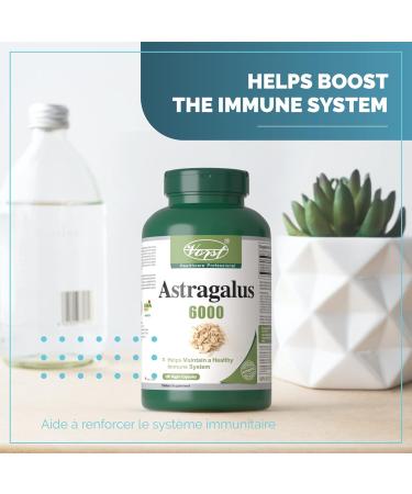 VORST Astragalus 6000mg Raw Equivalent (1500mg With 4:1 Extract Ratio) 180 Vegan Capsules | Supplement for Boosting Immune System | Root Powder Pills 1 | Bottle 1 count (Pack of 180) - Buy Online on GoSupps.com