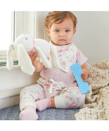 Baby Teething Toys 0-6 Months | Silicone Teethers for Baby Girl Boy | Infant Teether Set Blue Red Purple - Buy Online on GoSupps.com