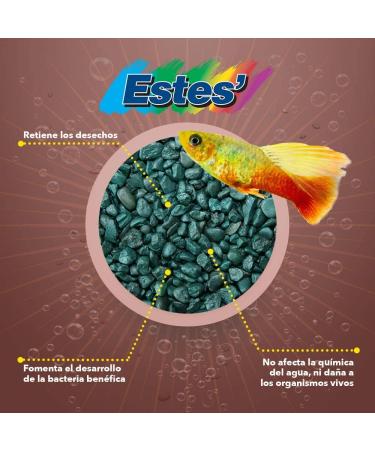 Spectrastone Special Green Aquarium Gravel - 5-Pound Bag | Freshwater Aquariums - Buy Online on GoSupps.com