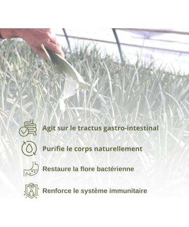 Benessence - Aloe Blueberries: Aloe Vera Juice with Blueberries - 1L - Buy Online on GoSupps.com