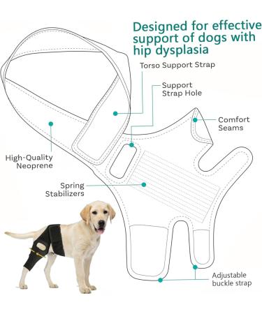 1PC Dog Knee Brace for Torn ACL Hind Leg Adjustable Dog Acl Knee Brace Support for Large and Small Dogs with ACL CCL Cruciate Ligament Injuries for Both Back and Front Legs - Buy Online on GoSupps.com