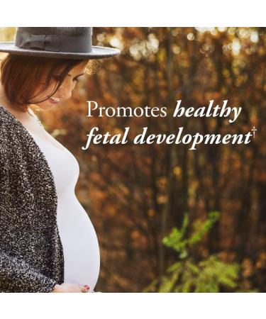 Garden of Life MyKind Organics Prenatal Multi - 180 Vegan Tablets for Optimal Pregnancy Health - Buy Online on GoSupps.com
