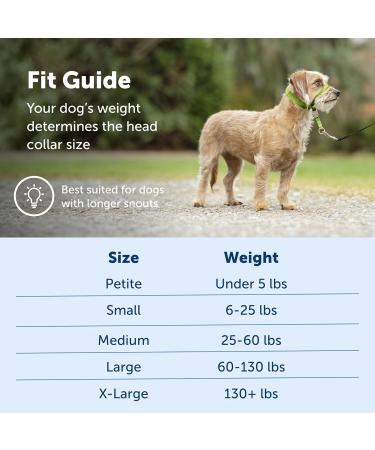 PetSafe Gentle Guide Collar for Small Dogs up to 25 lbs | Deep Purple with Training DVD - International Shipping Available - Buy Online on GoSupps.com