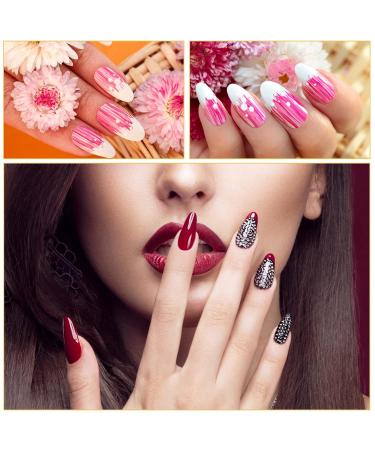Beaupretty 100PCs Clear Fan-Shaped Nail Art Display Tips with Metal Split Ring Holder - Perfect for Nail Practice & Polish Organization - Buy Online on GoSupps.com