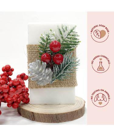 Buy PEARLWORLD Handmade Christmas Gift Soaps - Natural Essential Oil Hand & Body Care for All - Buy Online on GoSupps.com