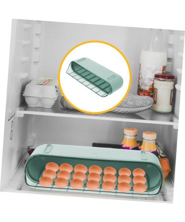 RORPOIR Deviled Egg Holder 1 Pc Slide Egg Collection 2 Tier Tray Refrigerator Egg Tray Double Layer Food Container Vegetable Green 28.5X15CM - Buy Online on GoSupps.com