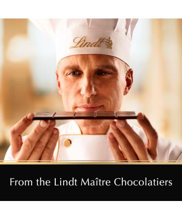 Lindt EXCELLENCE Sea Salt Dark Chocolate Bar 100 Grams - Buy Online on GoSupps.com
