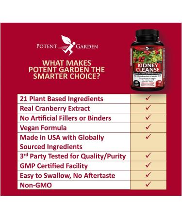 Kidney Cleanse Detox & Repair with Chanca Piedra & Uva Ursi Advanced Kidney Support Supplement for Healthy Kidney Function Urinary Tract & Bladder Wellness 60 Vegan Capsules - Buy Online on GoSupps.com
