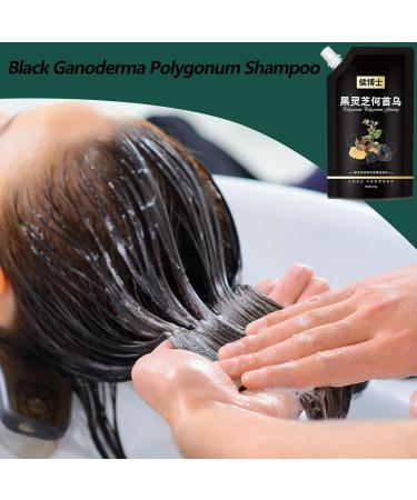  PUCHEN Multiflorum - 240ml He Shou Wu Shampoo Grey Reverse Shampoo | Shampoo for Dark Hair for Natural Deep Cleansing Reverse Grey Hair for - Buy Online on GoSupps.com