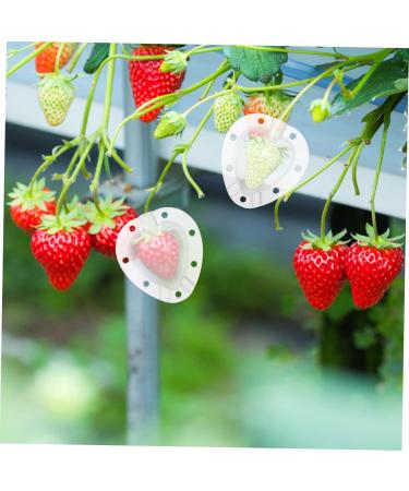 SUPVOX 10 Pcs Fruit Shaping Mold Vegetables Fruit Growth Forming Mould Tool Fruit Moulding Mold Watermelon 4.5x4cmx2pcs Whitex2pcs - Buy Online on GoSupps.com