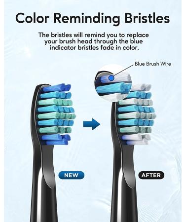 Dnsly Electric Toothbrush Heads 7 Pack Compatible with Fairywill FW-507/508/551/917/959 & ATMOKO HP126A - Black - Buy Online on GoSupps.com