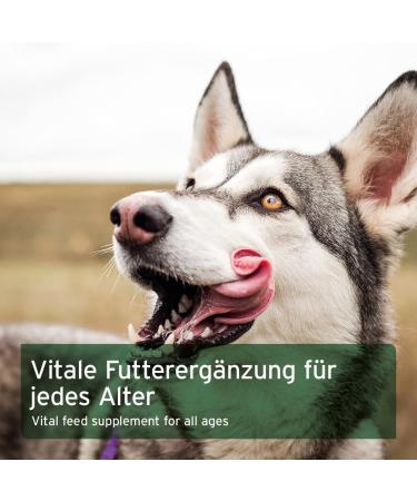 AniForte Barf Additive for Dogs Fruits and Vegetables with Herbs 5 kg Natural Product Gluten-Free Barf Food Supplement Flakes without Artificial Additives 100% Natural Supplement - Buy Online on GoSupps.com