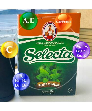 Selecta Yerba Mat Boldo Menthe: 0 5 kg+ chantillon cadeau (40g) | Boisson nergisante et tonique riche en vitamines et antioxydants! Boldo Menthe 0.5 kg - Buy Online on GoSupps.com