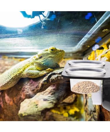 Mipcase Magnetic Reptile Ledge- Crested Gecko Feeding Ledge with 10 Bowls Reptile Feeding Cups Reptile Water and Food Dish with Suction Cup 11.7X6.3X5.7CM - Buy Online on GoSupps.com