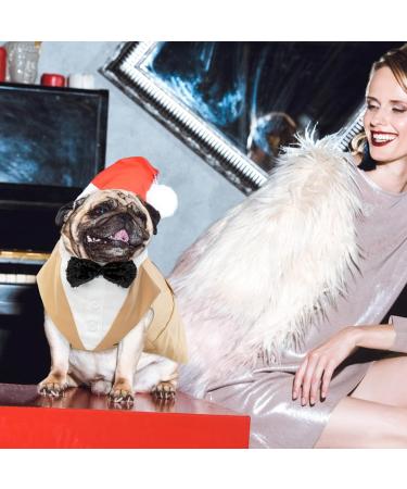 Dog Smoking Suit - Striped Gentleman Wedding Outfit for Dogs | Formal Pet Clothing in Champagne (M) - Buy Online on GoSupps.com