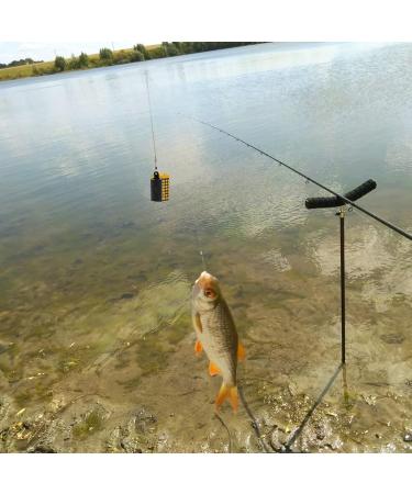 AMFRAR 6-Piece Metal Feed Basket Set - Round Method Fishing Feeder Accessories with Weights - Lead-Free Options Available - Buy Online on GoSupps.com