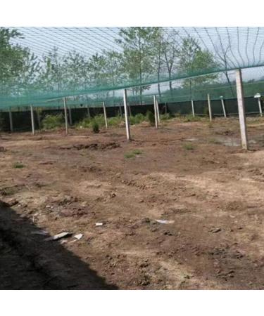 Bird Netting for Garden for Bird Poultry Aviary Safety Netting Heavy Duty Chicken Netting 1.6 Inch Square Mesh Size (Hole Distance : 4cm Hole Size : 1x1m/3.28x3.28ft) - Buy Online on GoSupps.com