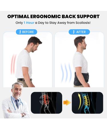 Back Brace for Men and Women Back Support Belt for Lower Back Pain Relief Scoliosis Sciatica Herniated Disc Heavy lifting Lightweight Breathable Lumbar Support with Dual Adjustable Straps (Large) Large (Waist 38.6-45.28'') - Buy Online on GoSupps.com
