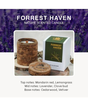 Forrest Haven Scented Candle - Lavender & Cedarwood Soy Candle | 6.5oz Aromatherapy Candle for Healing & Relaxation | Fall Decor with Cinnamon - 48 Hours Burn Time - Buy Online on GoSupps.com