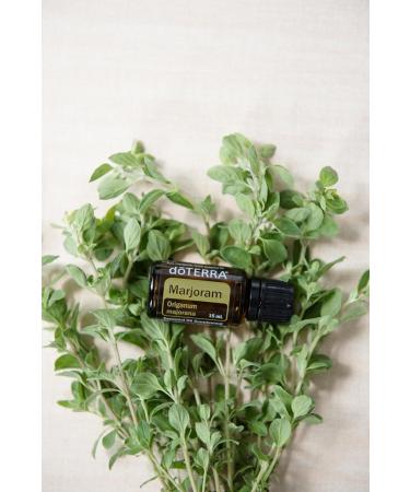 doTERRA Marjoram Essential Oil 15 ml - Premium Quality International Shipping Available - Buy Online on GoSupps.com