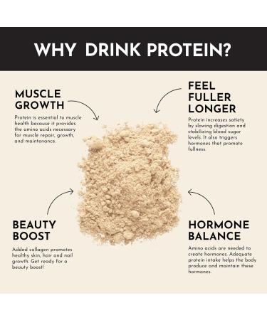 JUST INGREDIANTS Protein Powder | Vanilla Protein Powder Made with 100% Grass Fed Non Denatured Whey | Four Different Protein Sources from Organic Whole Food Ingredients | 15 Servings | 22g Protein - Buy Online on GoSupps.com