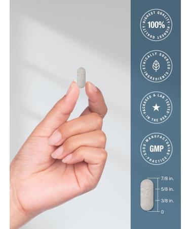 Horb ach Calcium Magnesium D3 | 180 Coated Caplets | Supports Bone Density | Supplement for Men and Women | Vegan Non-GMO Gluten Free - Buy Online on GoSupps.com