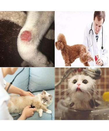 Cat Cone Dog Cone Adjustable Pet Recovery Collar for Kitten Puppy Rabbit Soft Cat Head Cones Lightweight Plastic Elizabethan Collars Comfy Cat Protective E-Collar Wound Healing Practical Neck M( Neck: 7.2-9.0 In) - Buy Online on GoSupps.com