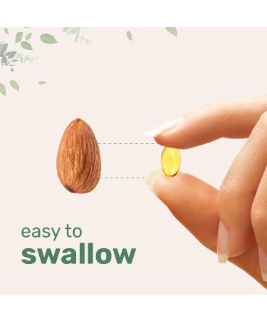 Micro Ingredients Vitamin D3 5 000iu + K2 100mcg Softgels & Resveratrol NAD Supplements 3 000mg Veggie Capsules | 2 Pack Bundle | D & K Sunshine Vitamins | Antioxidant Blend with Quercetin & Berberine - Buy Online on GoSupps.com