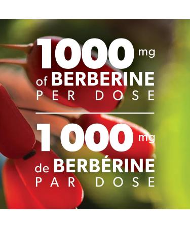Preferred Nutrition - Berberine 180 VCaps 1000mg daily serving Cardiovascular Health & Support Blood Sugar Metabolism - Berberine Supplement - High potency - 500mg per capsule - 90 day supply 180 count (Pack of 1) - Buy Online on GoSupps.com