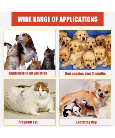 Pet Skin Care Powder Treatment Fast-Acting Blood Stop Powder For Pets 50g Pet Wound Repair Powder Wound Healing Styptic Powder For Dogs And Cats - Buy Online on GoSupps.com