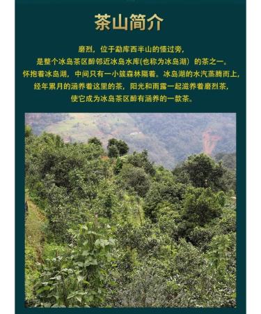 Pu-erh tea 2020 Lu Tang Grind 357g Raw - Buy Online on GoSupps.com