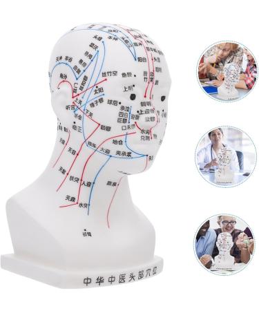 Buy Minkissy Acupuncture Point Model - Human Head Model for Head Massage & Acupuncture - 22x12x8cm - White PVC - International Shipping Available - Buy Online on GoSupps.com
