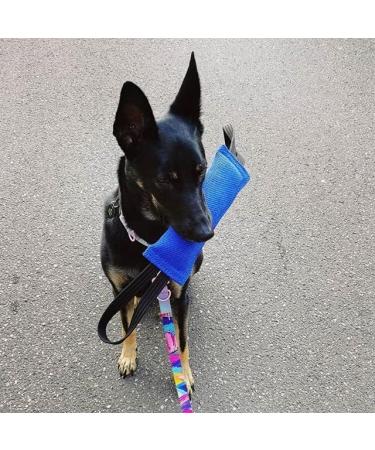 Dingo Gear Cotton Nylon Bite Sausage for Dog Training | IGP IPO Obedience | Protection Dog Sport | 28x7 cm | 2 Handles - Blue - Buy Online on GoSupps.com