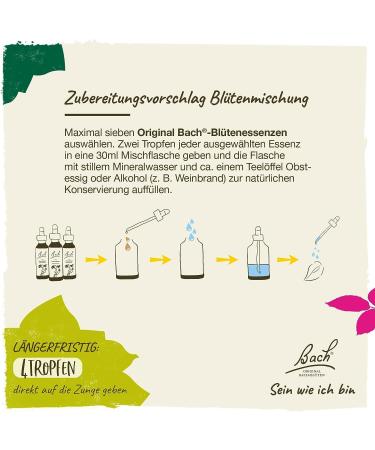 Original Bach Flower Drops No. 11 Elm - Relieve Stress & Embrace Rest | 20ml International Shipping Available - Buy Online on GoSupps.com
