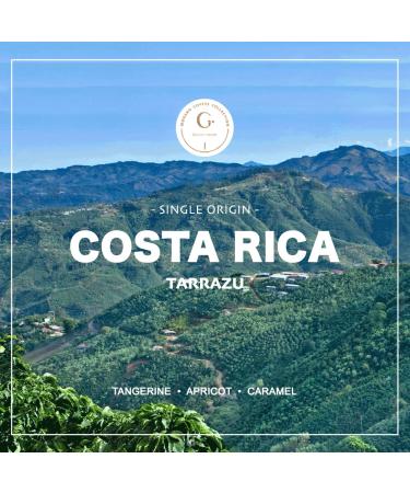 Organic Costa Rican Tarrazu Green Coffee Beans - Grand Parade Coffee 3 lb Unroasted - La Amistad Single Origin - Buy Online on GoSupps.com