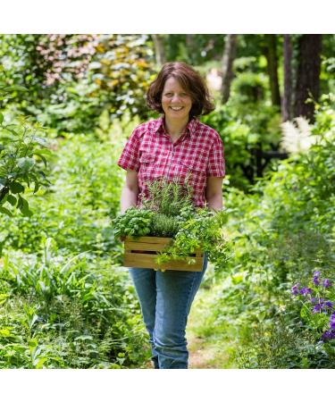 Biotraxx Liver 10-Herb Formula Intensive Plant-Based Detox for Liver & Gallbladder Cleansing | International Shipping - Buy Online on GoSupps.com