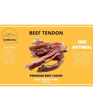 Heavy Tendon for Dogs - Heavy Beef Tendon Dog CHEW Treat - (10 Pack Approx. 448 Grams) - Rawhide Alternative - Long Lasting Single Ingredient Beef Tendon - 100% Natural Beef Treats for Dogs - Buy Online on GoSupps.com